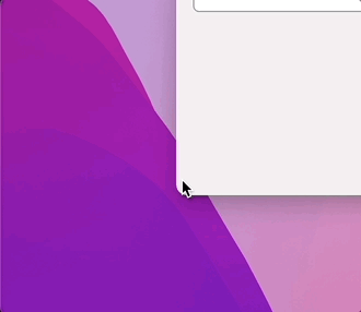 Non-resizable macOS application window